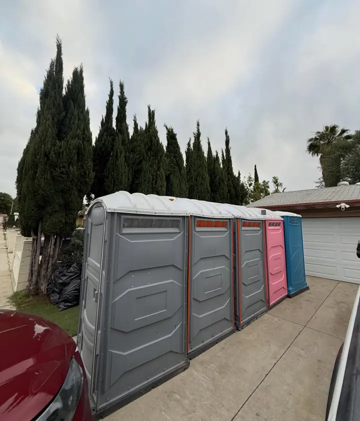 Row of grey, red and pink porta potties along a residential driveway